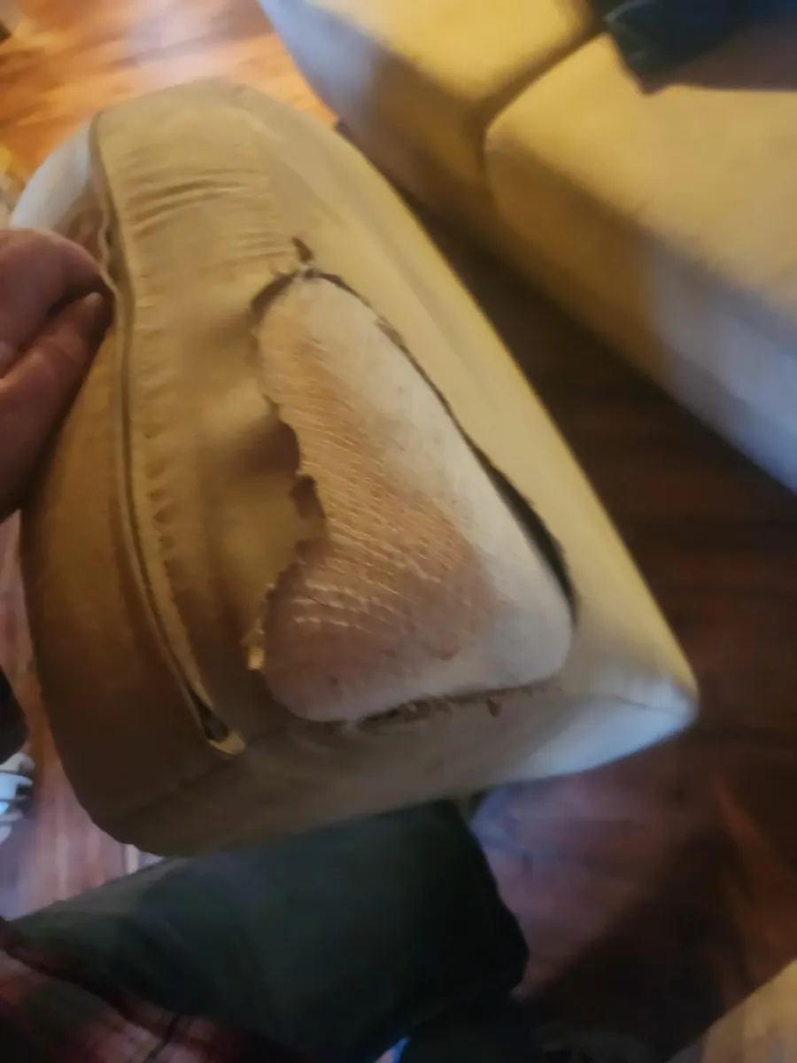 Couch for sale - Image 3