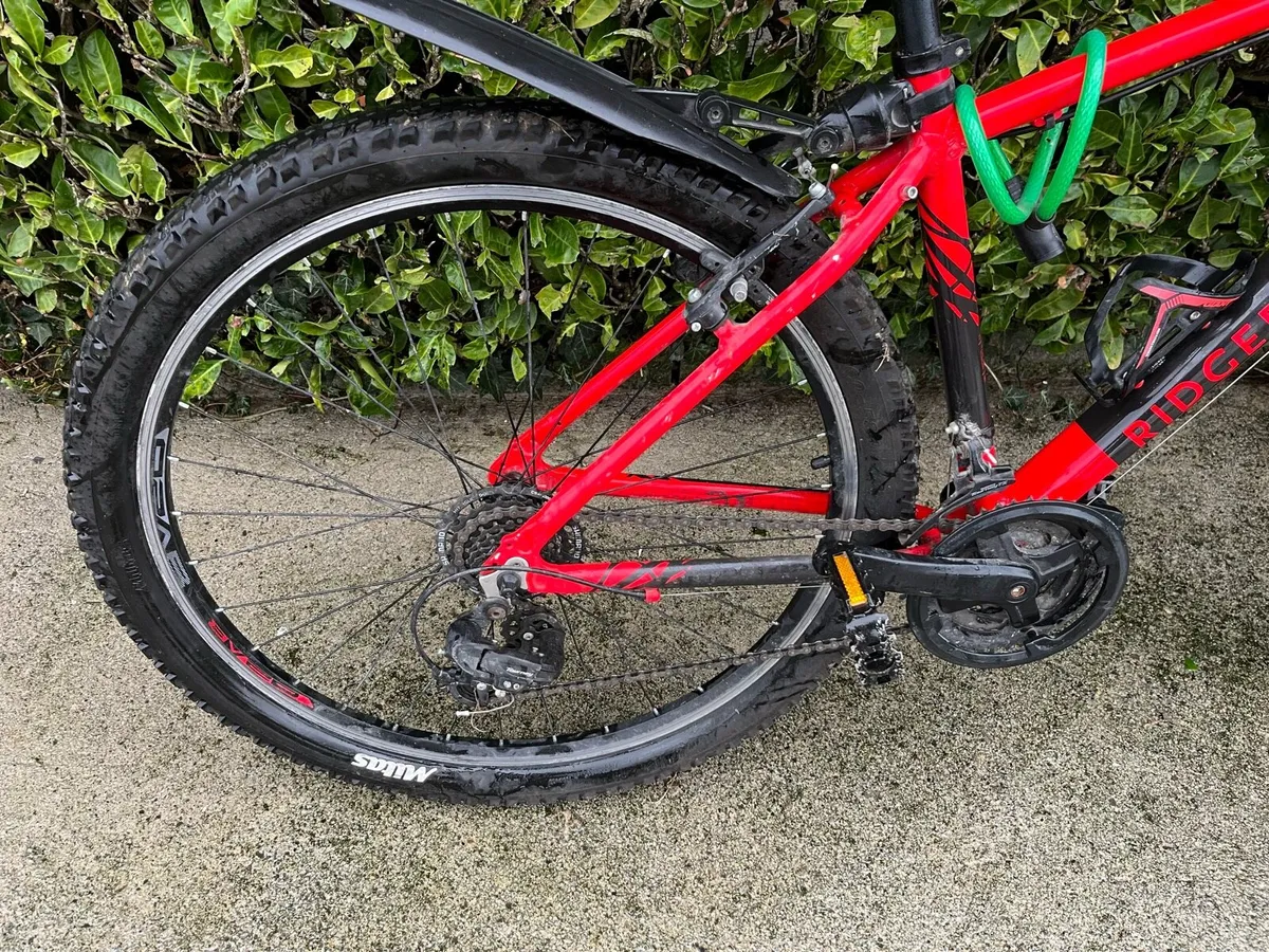 Ridgeback mountain bike - Image 2