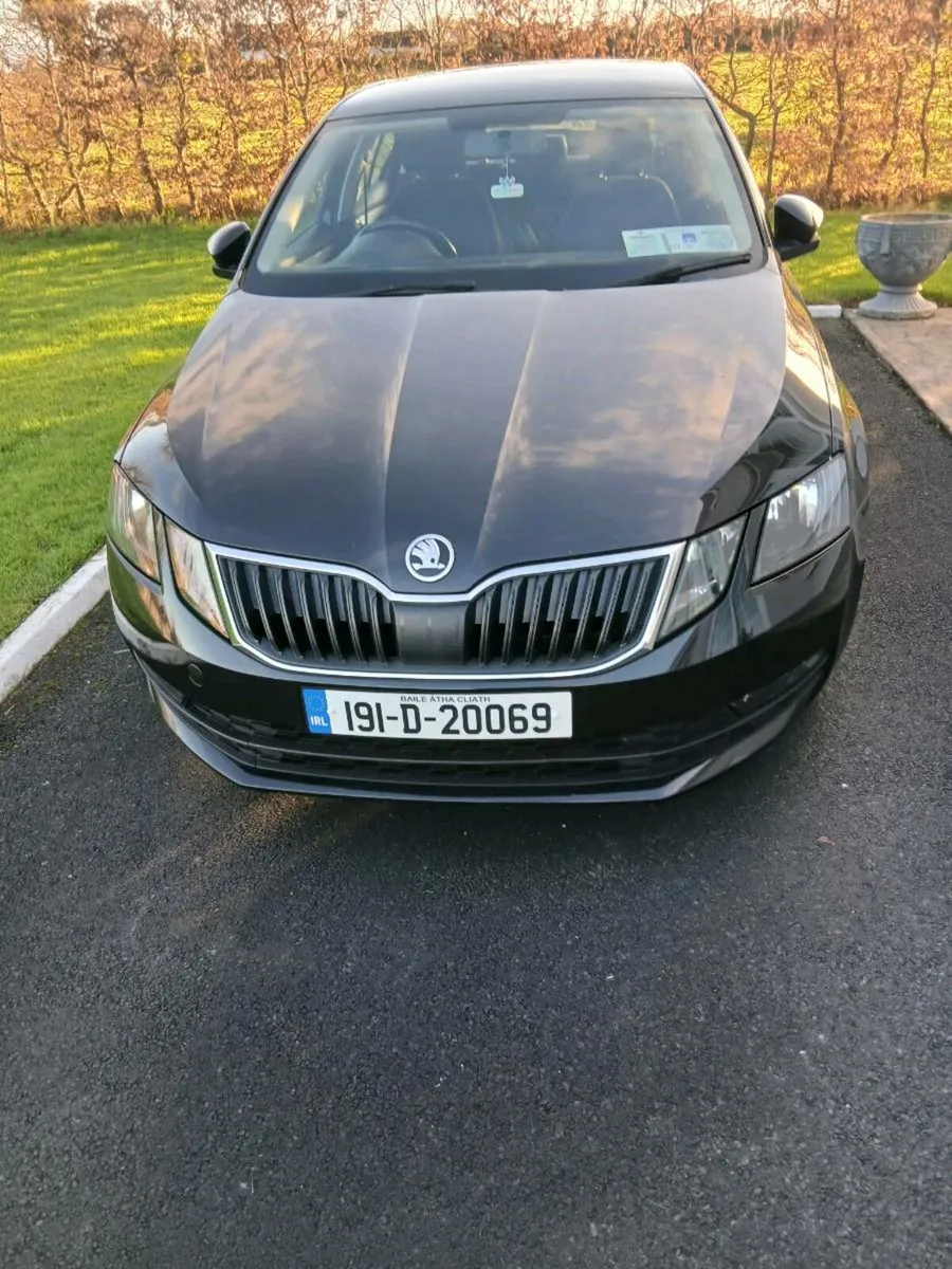 191 Skoda Octavia 1l Petrol - Image 1