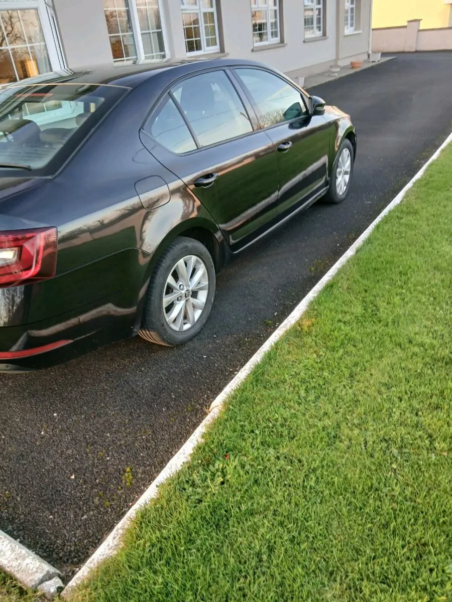 191 Skoda Octavia 1l Petrol - Image 3