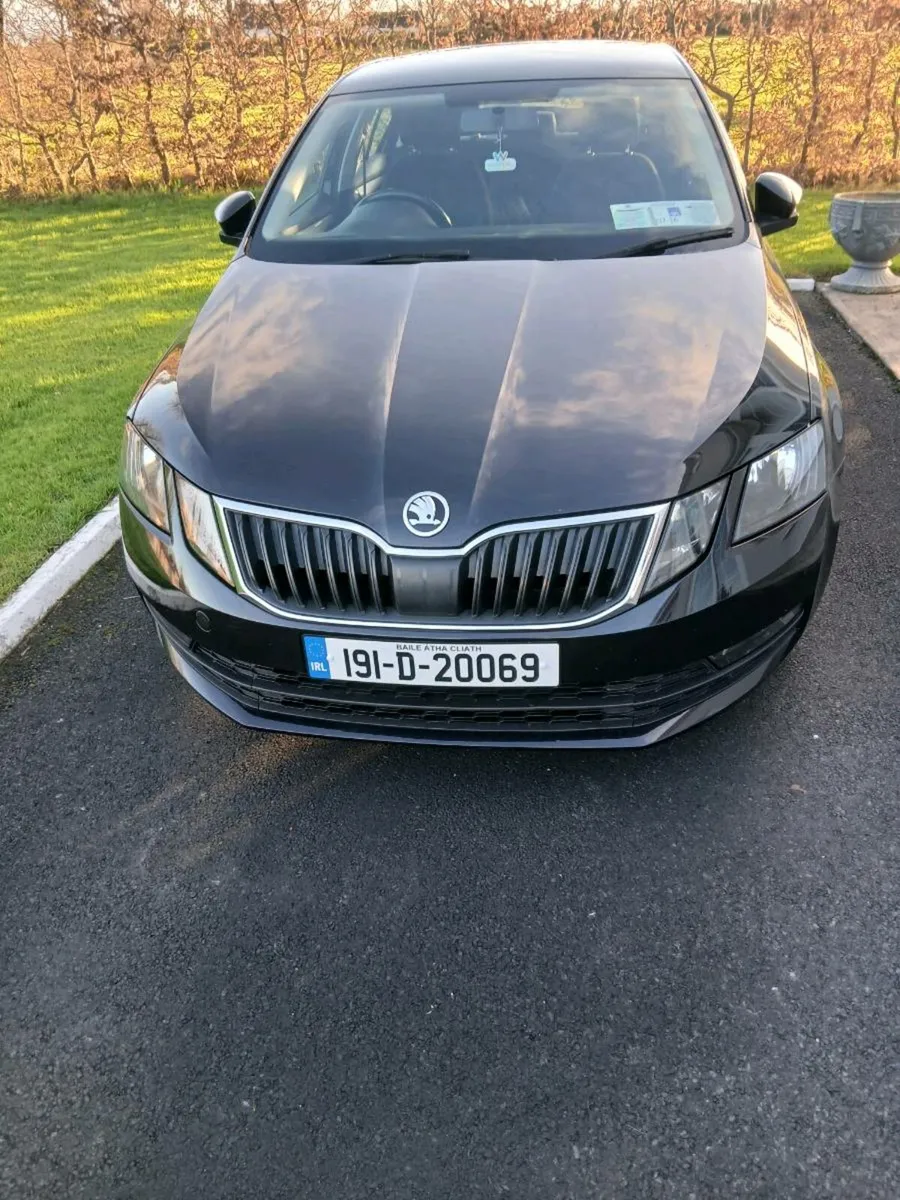 191 Skoda Octavia 1l Petrol - Image 4