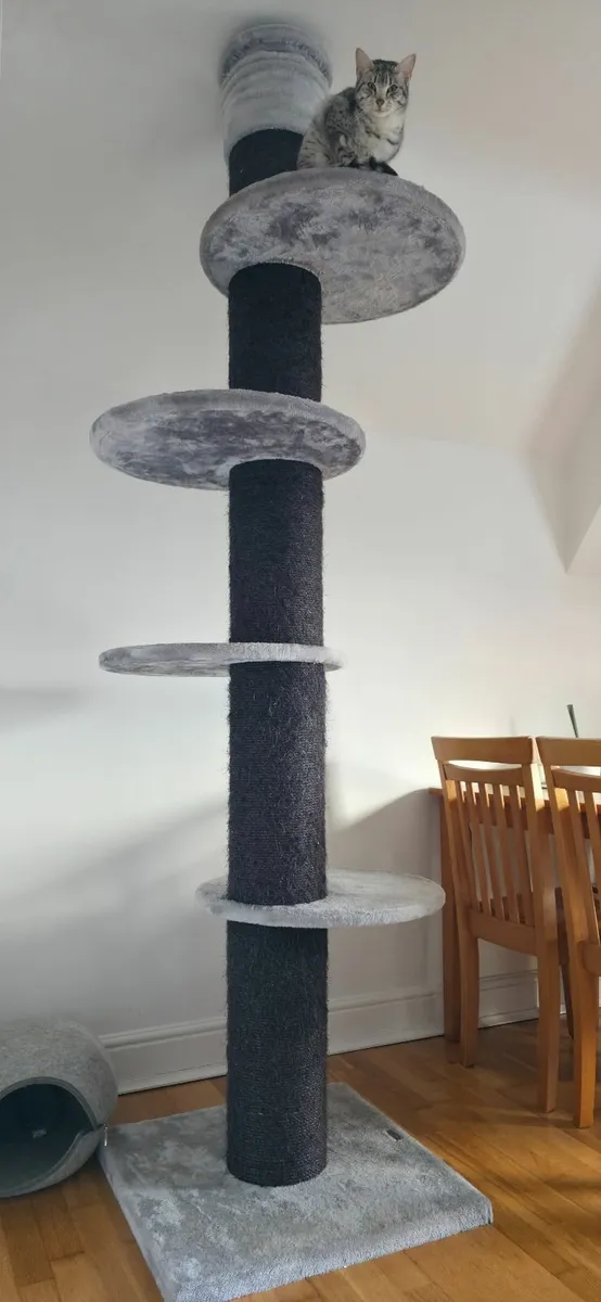 XXL grey blackline cat tree