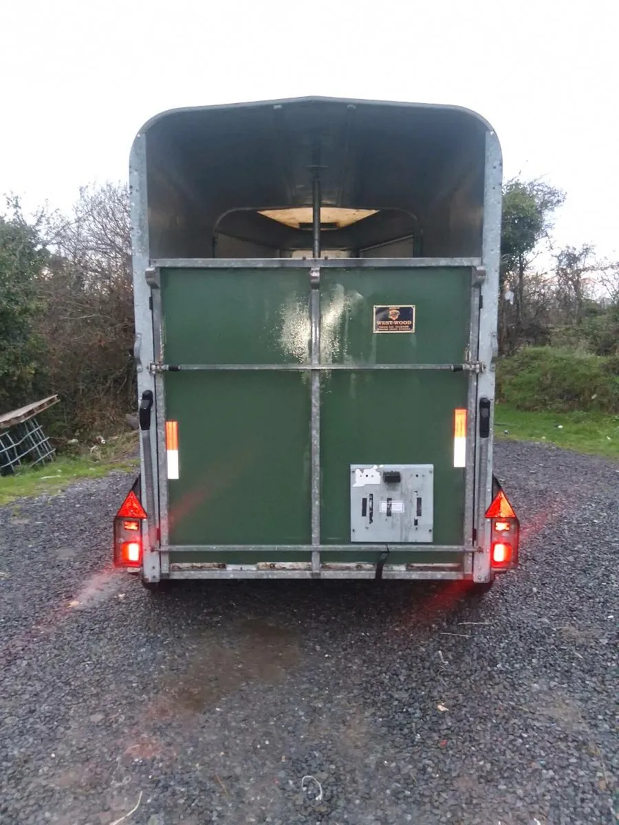 Iforwillams HB505 - Image 4