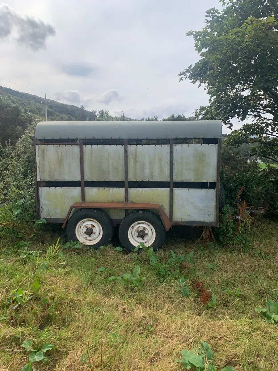 Cattle trailer - Image 1