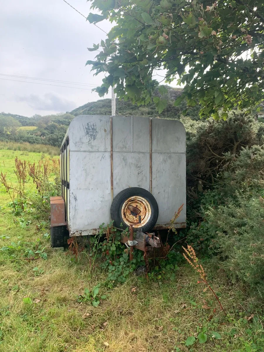 Cattle trailer - Image 2