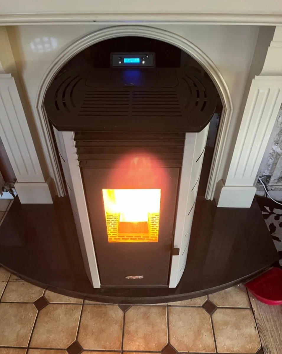 Wood Pellet Stove - Image 1