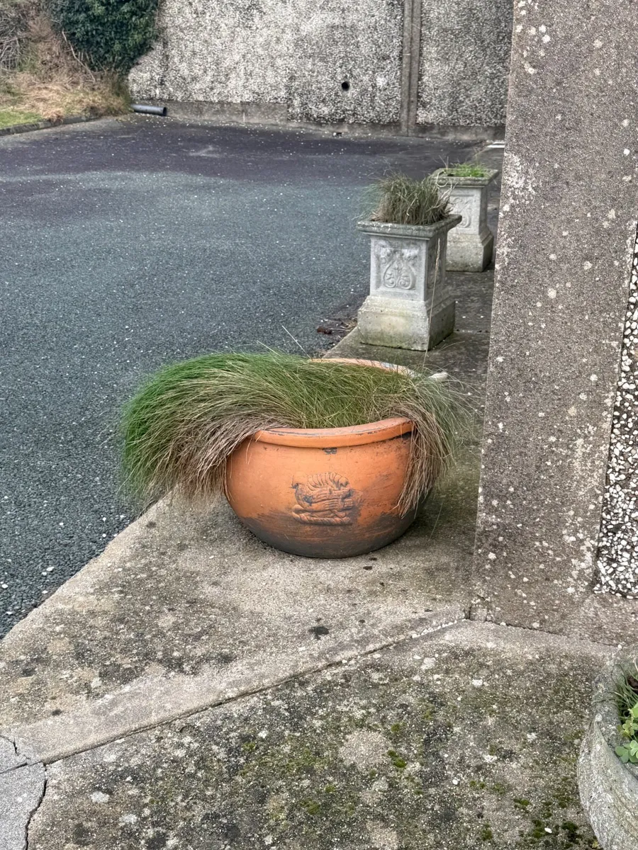 Plant pots - Image 2