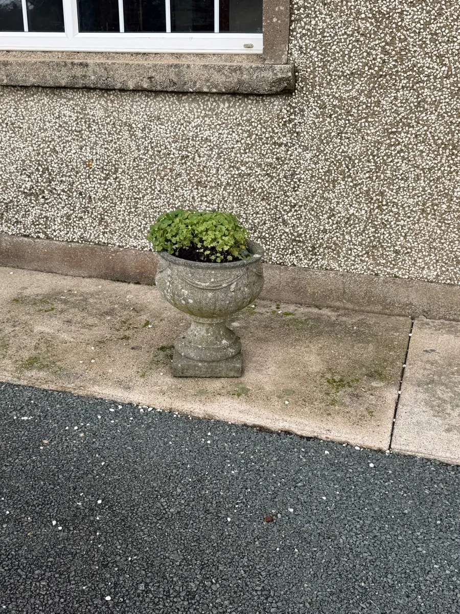 Plant pots - Image 1