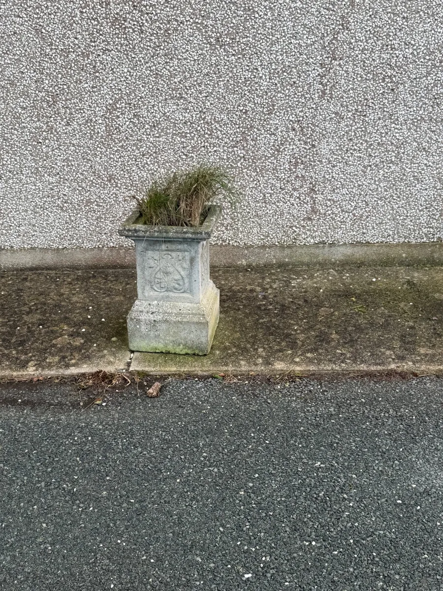 Plant pots - Image 3