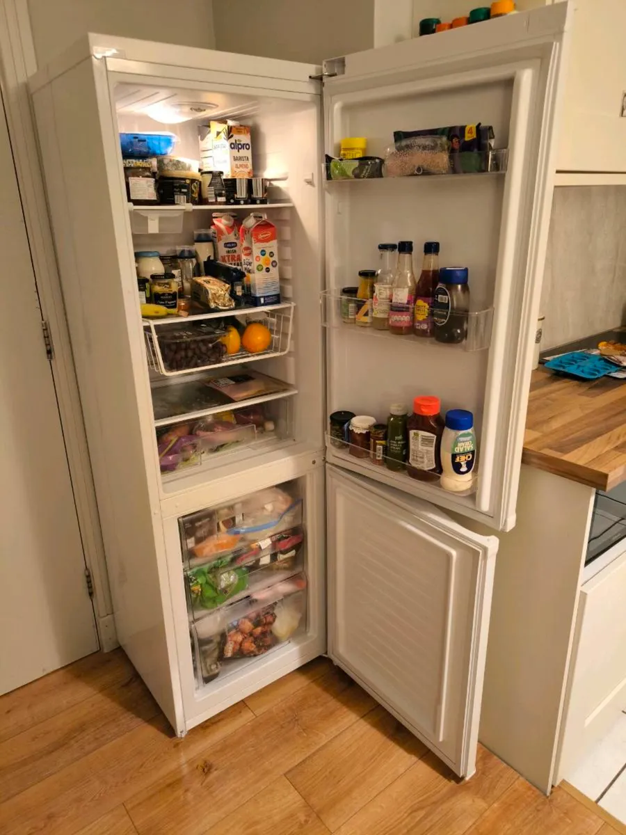 PowerPoint Fridge Freezer - Image 1