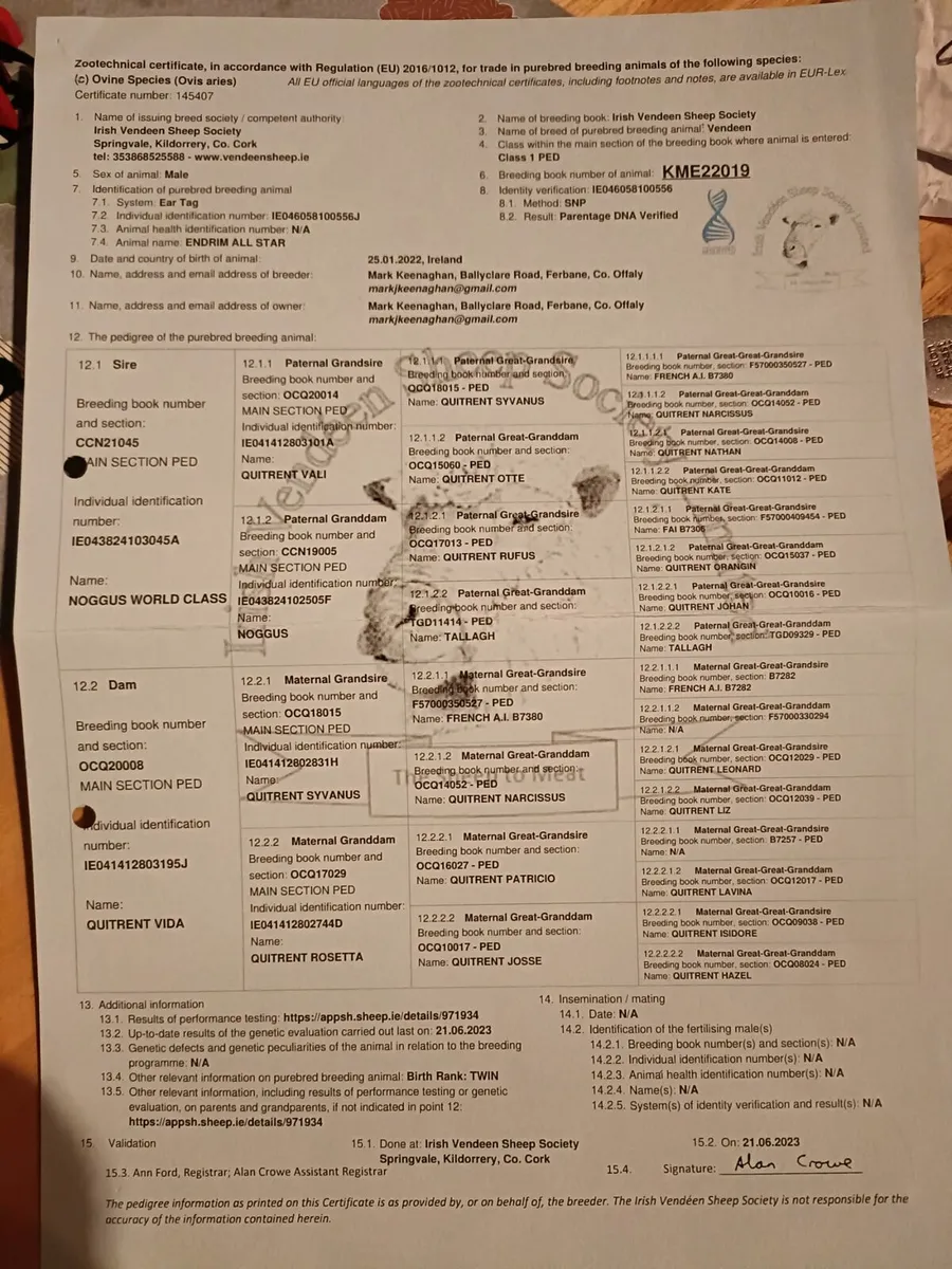 PBR Vendeen Ram - Image 3