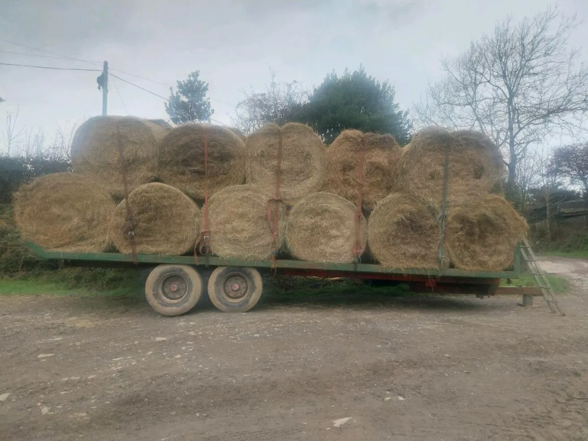 Bale,silage trailer - Image 3