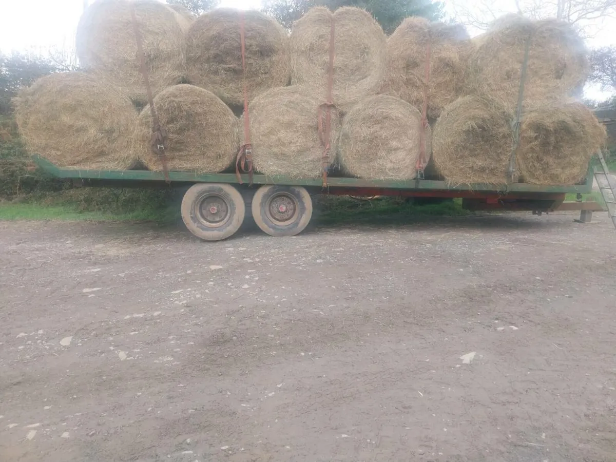 Bale,silage trailer - Image 4