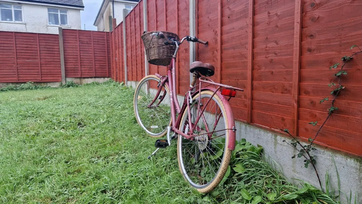 Women's Bike - Image 3