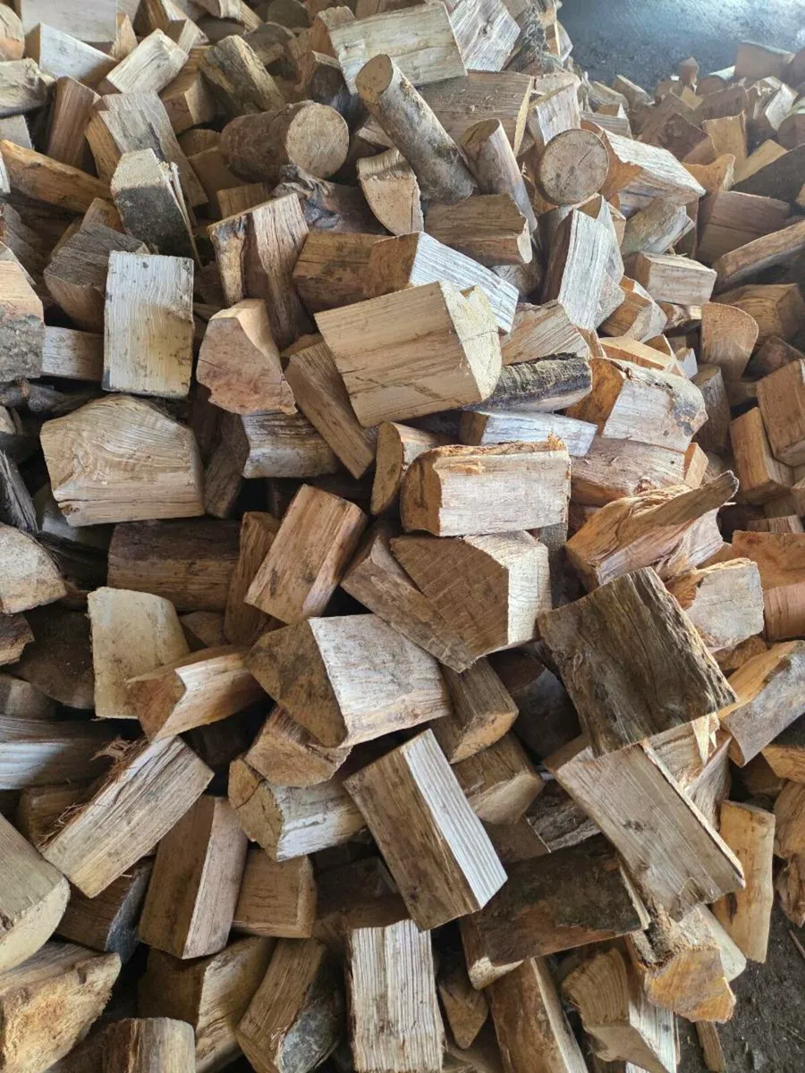 Firewood - Image 2