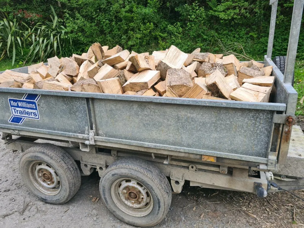 Firewood - Image 1