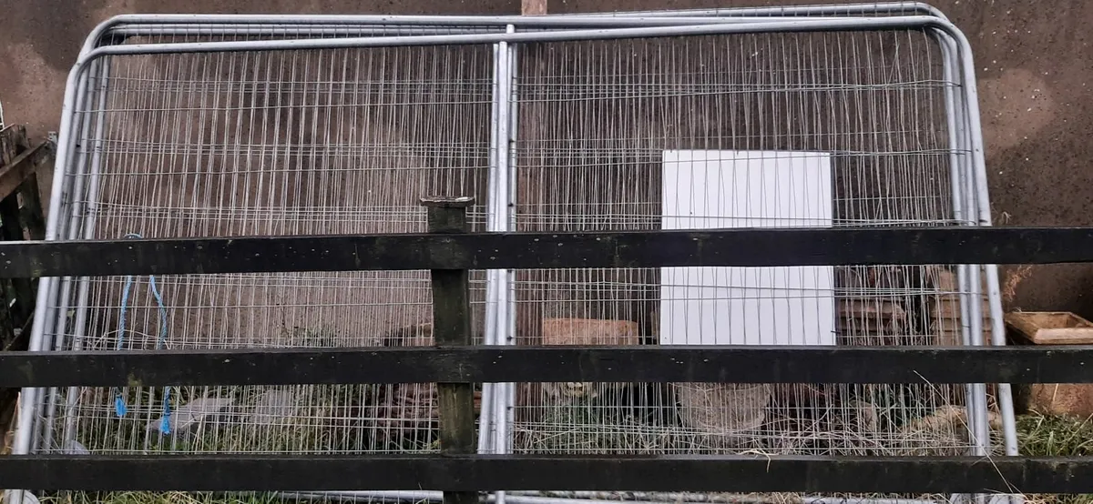 Site Security Fencing - 5 Panels - Image 1