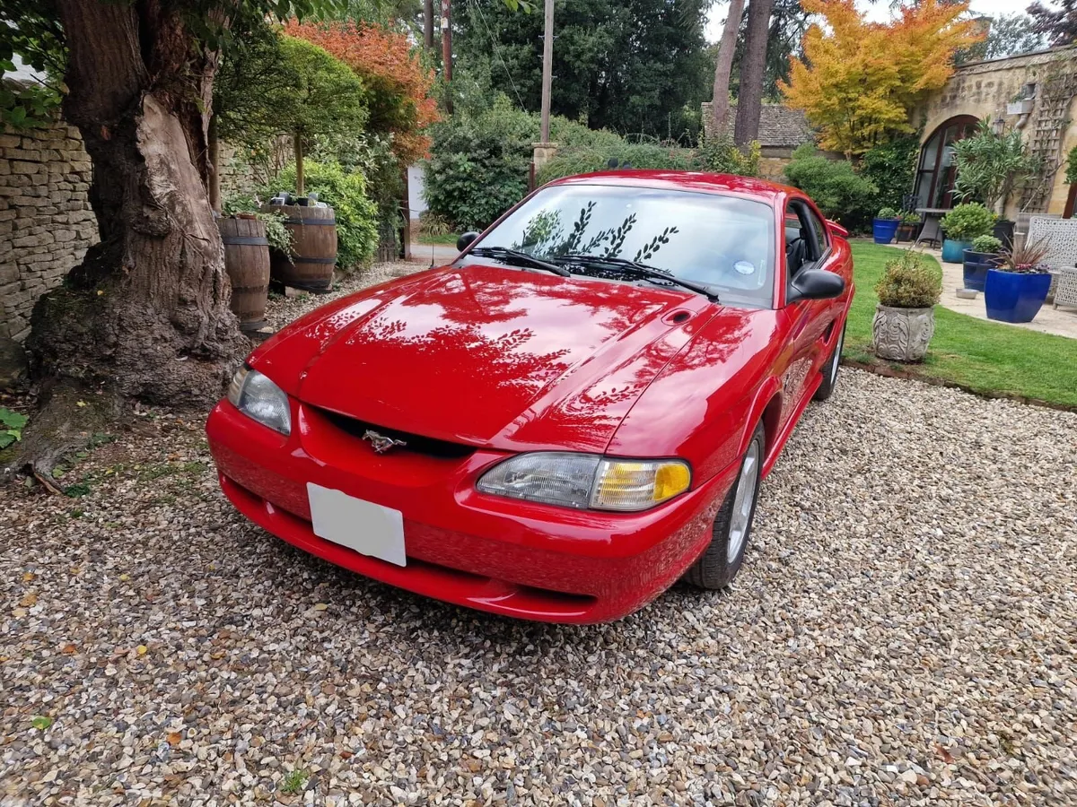 FORD MUSTANG - Image 2
