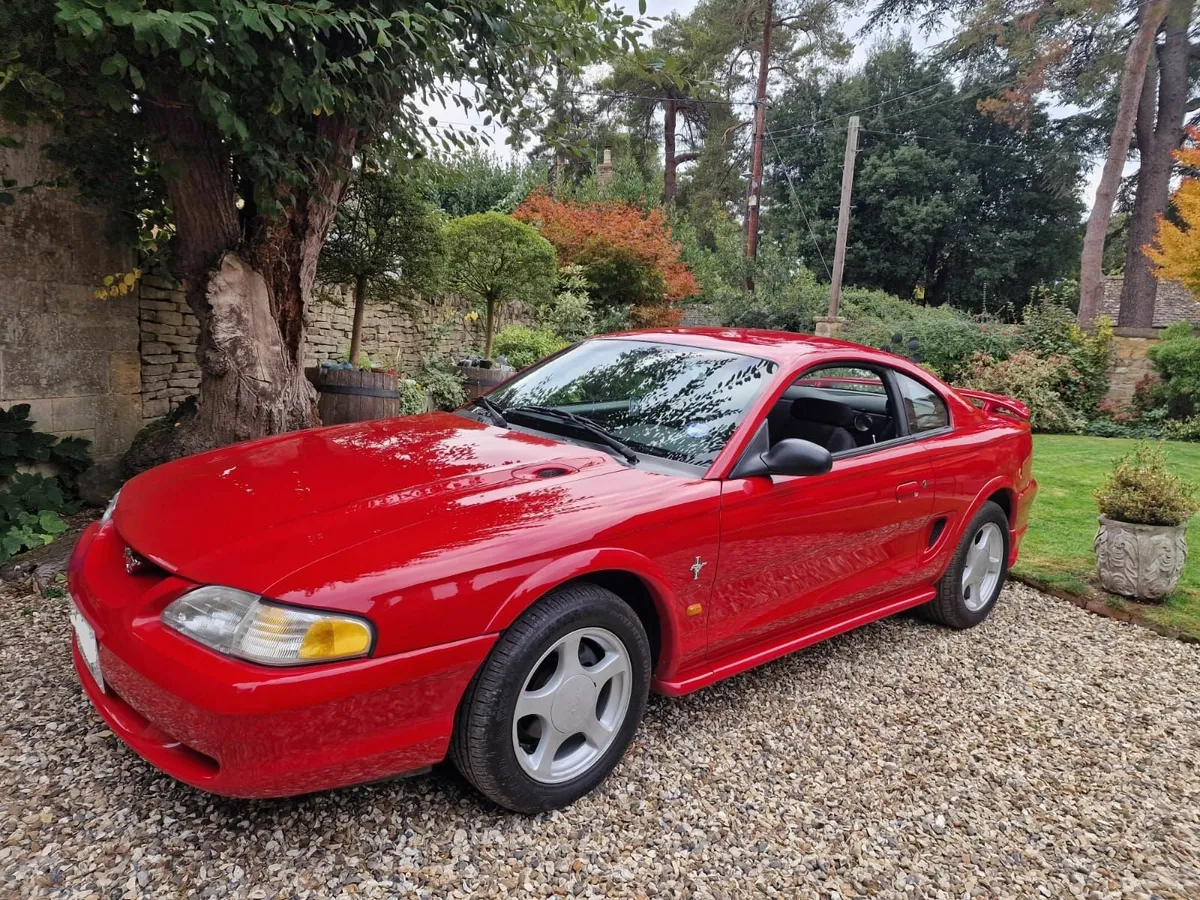 FORD MUSTANG - Image 3