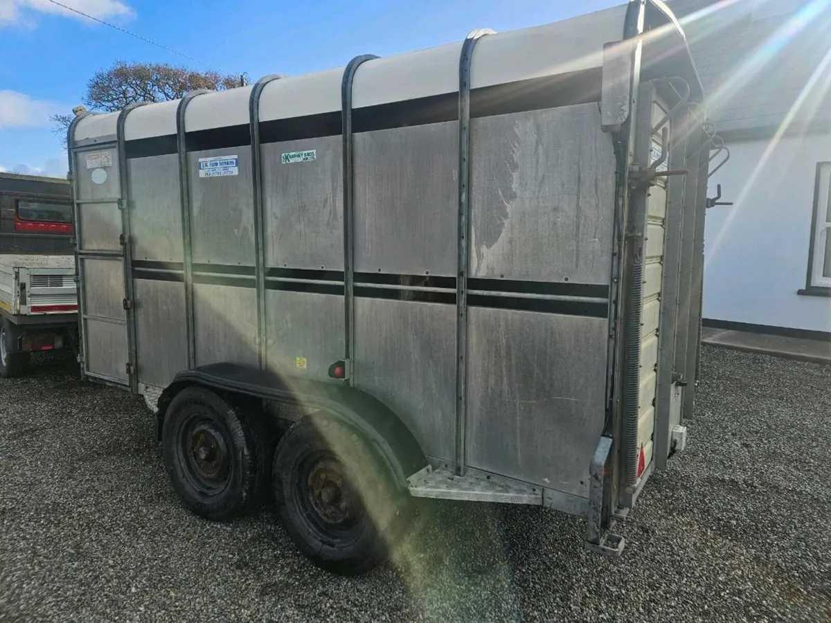 Ifor Williams  cattle box - Image 3