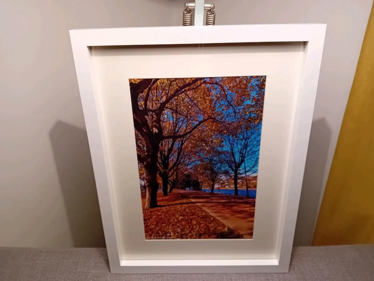 The Marina, Cork - Image 2