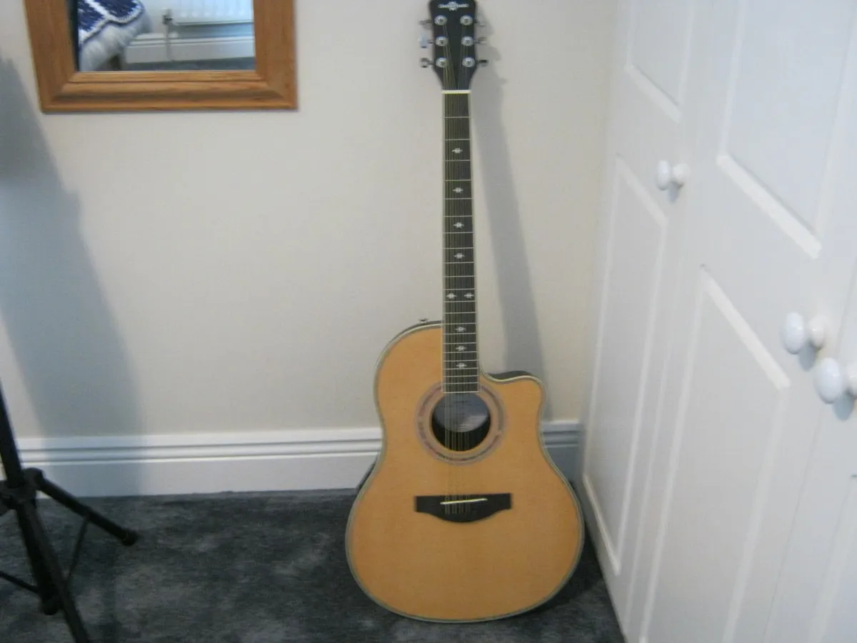 Electro/Acoustic Guitar - Image 1