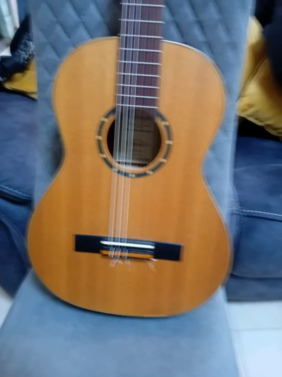 ORTEGA GUITAR NEW + NEW CASE - Image 3
