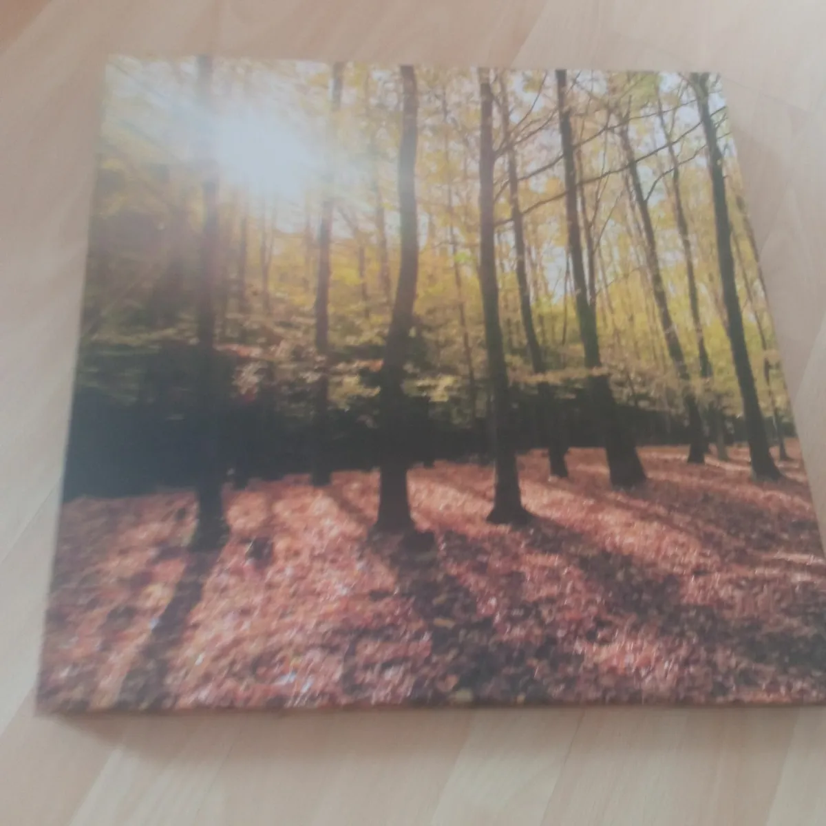 Canvas Picture - Image 1