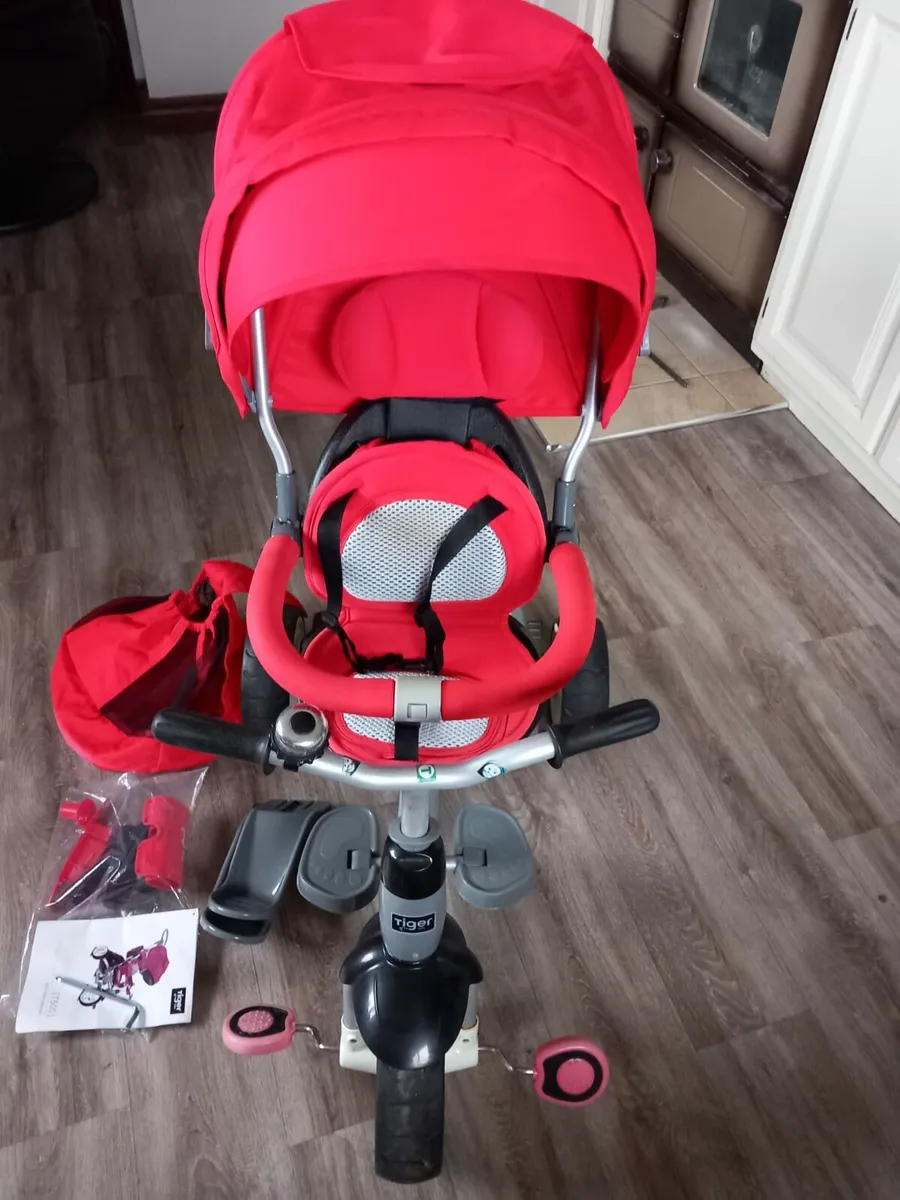 Tiger Bike Trike - Image 1