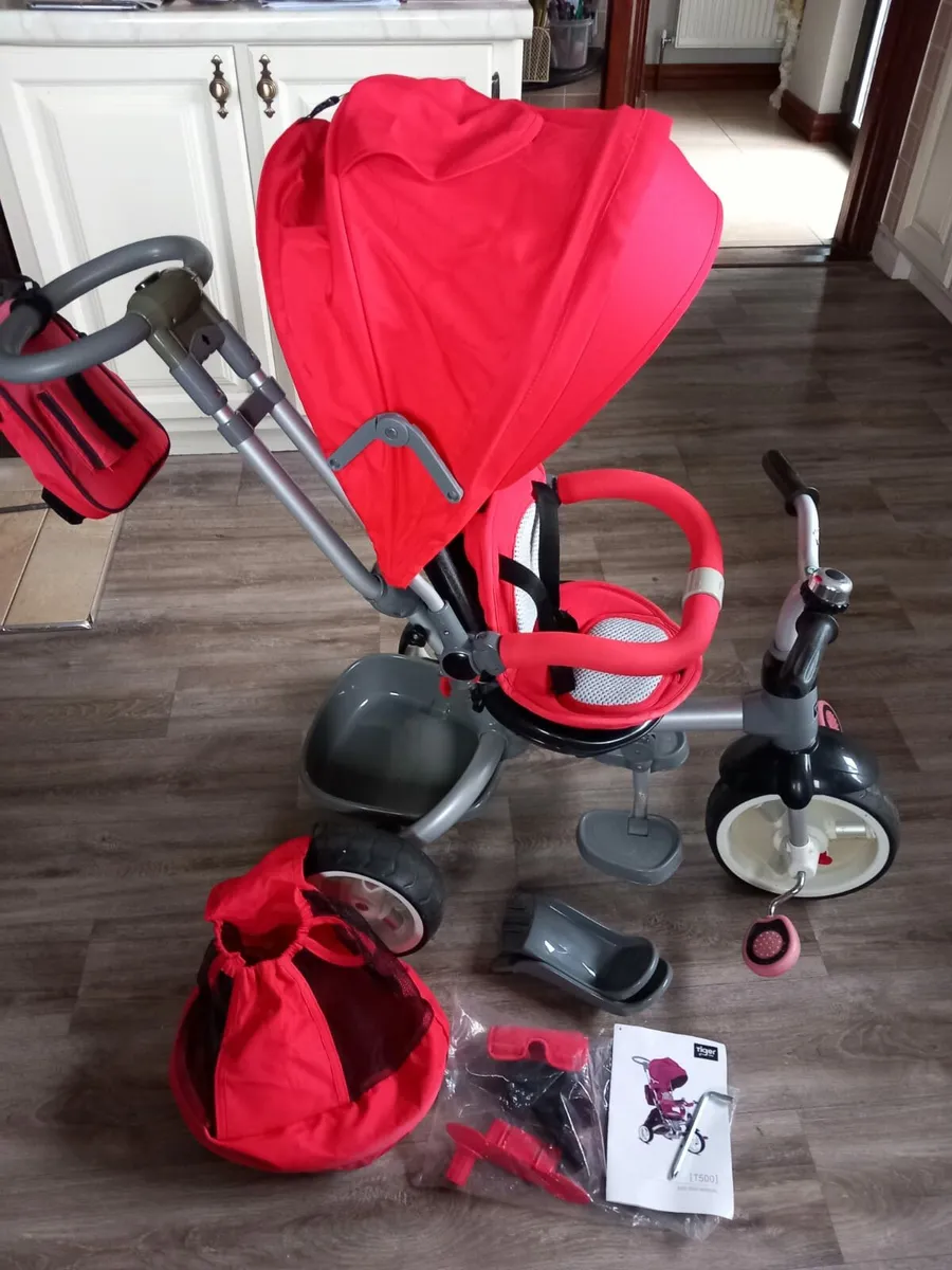 Tiger Bike Trike - Image 2