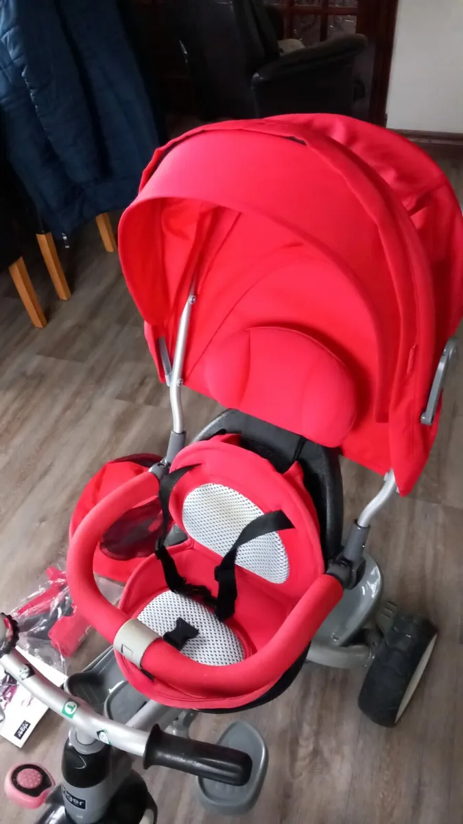 Tiger Bike Trike - Image 3