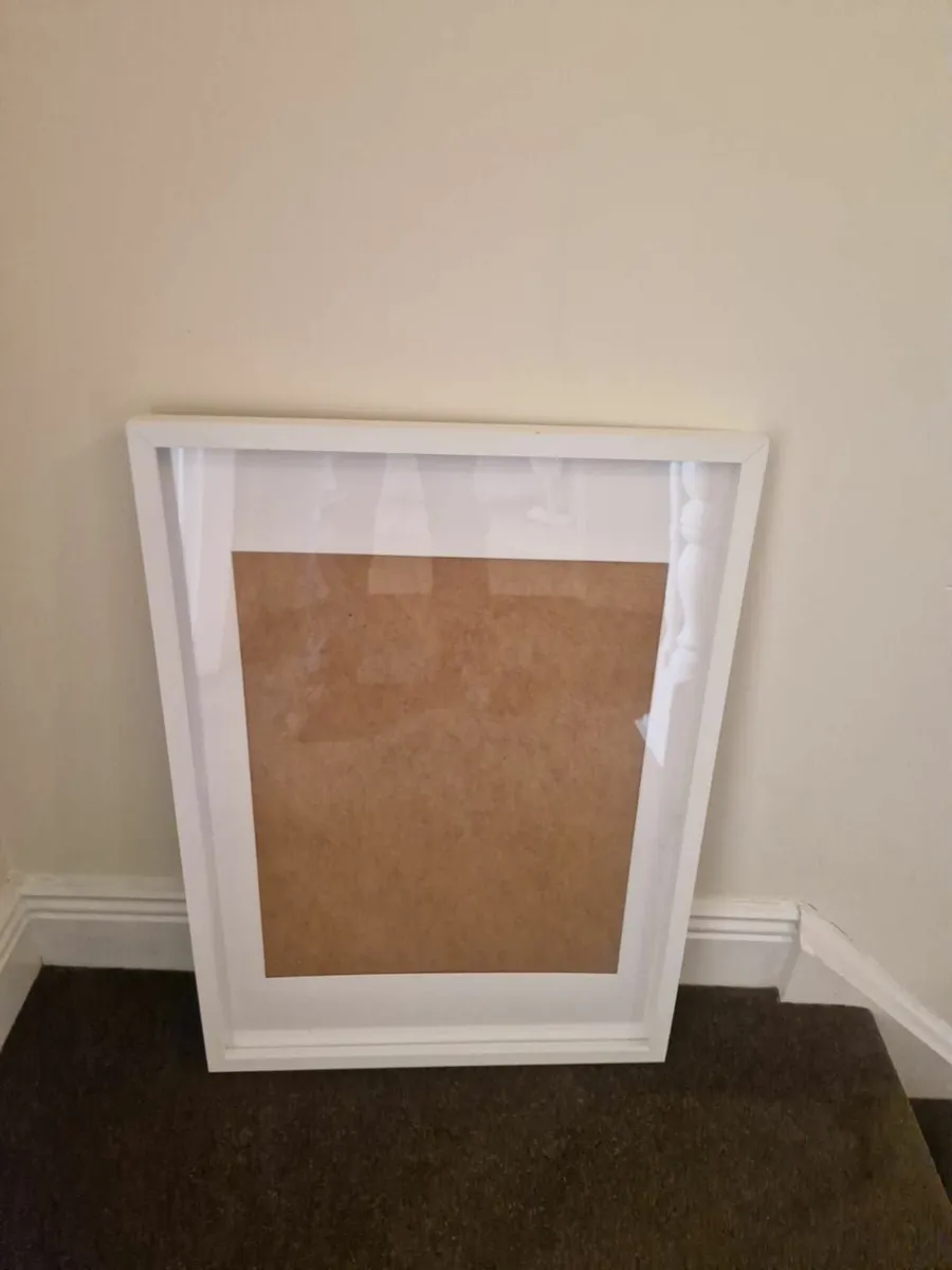 Large Picture Frame For Sale - Image 1