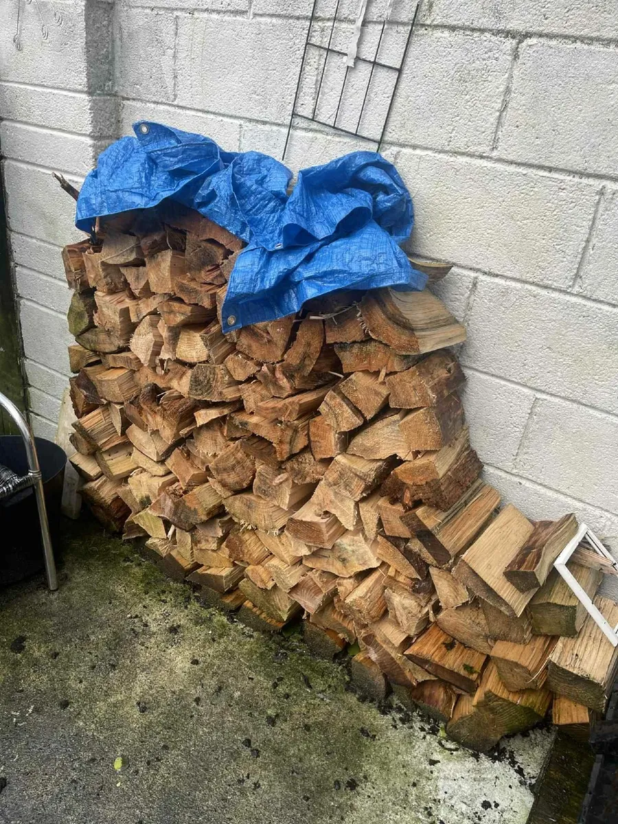 coal wood and bunker - Image 2