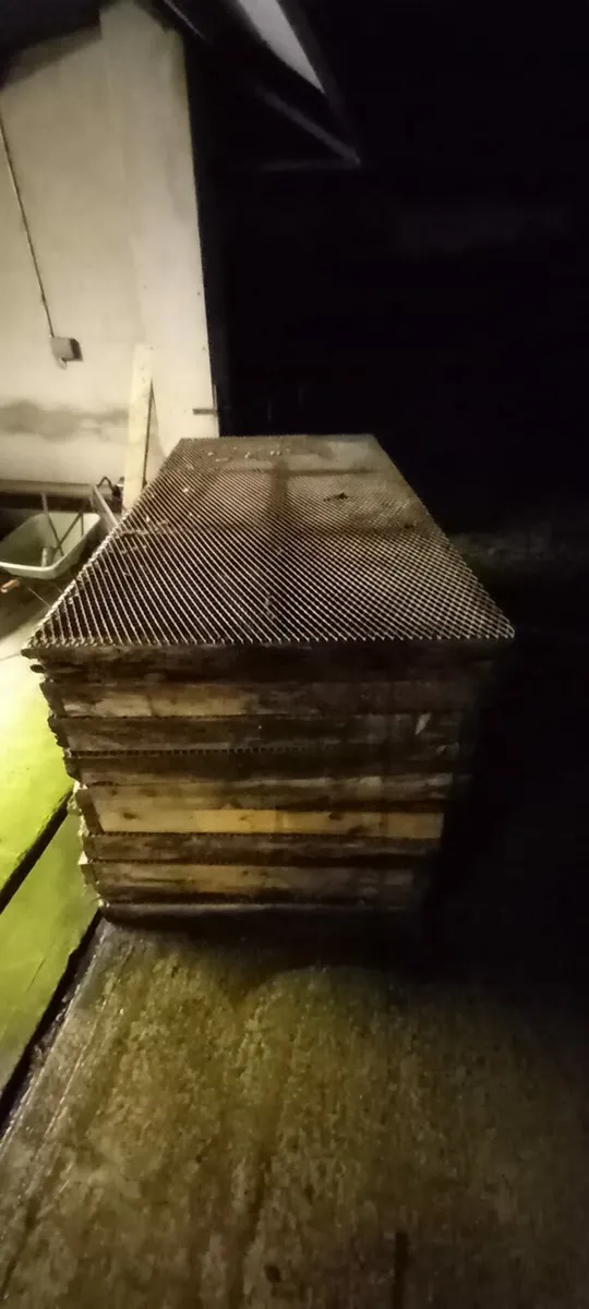 Sheep slats - Image 1