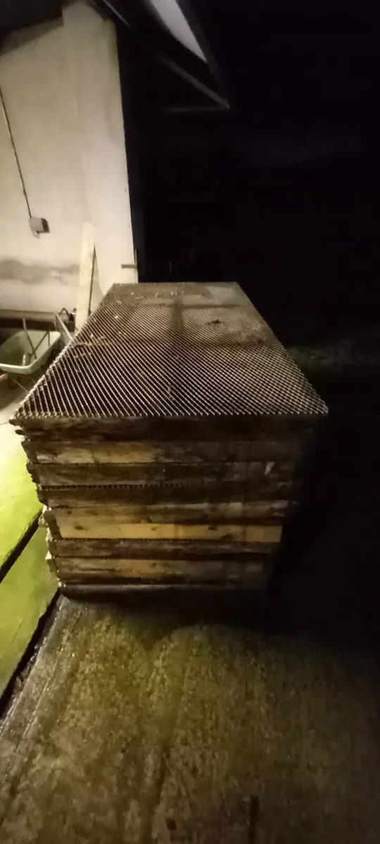 Sheep slats - Image 2