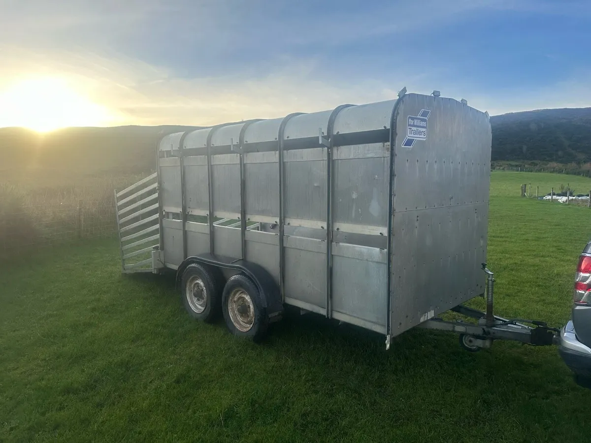 Ifor Williams trailer - Image 1