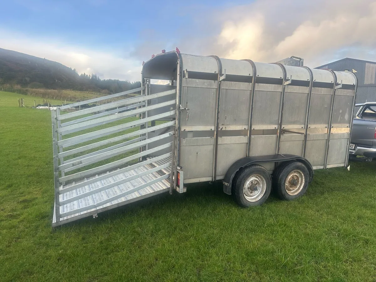 Ifor Williams trailer - Image 3