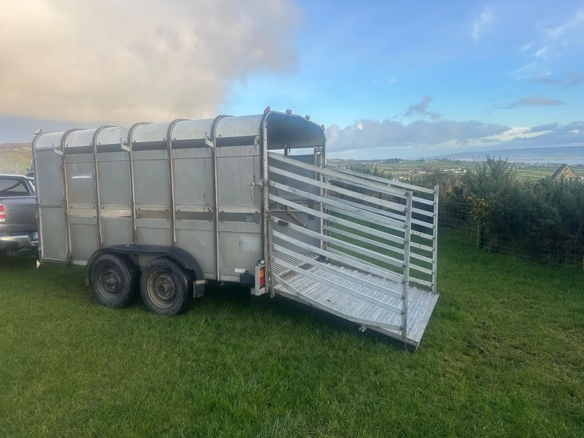 Ifor Williams trailer - Image 4