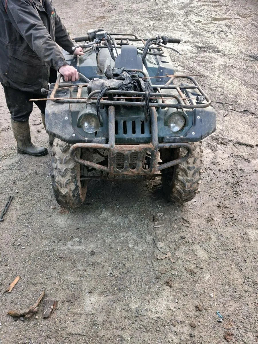 Quad bike - Image 1