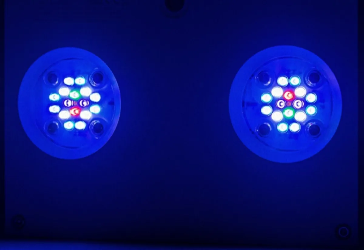 Reef aquarium led lights - Image 2