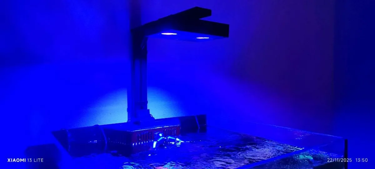 Reef aquarium led lights - Image 3