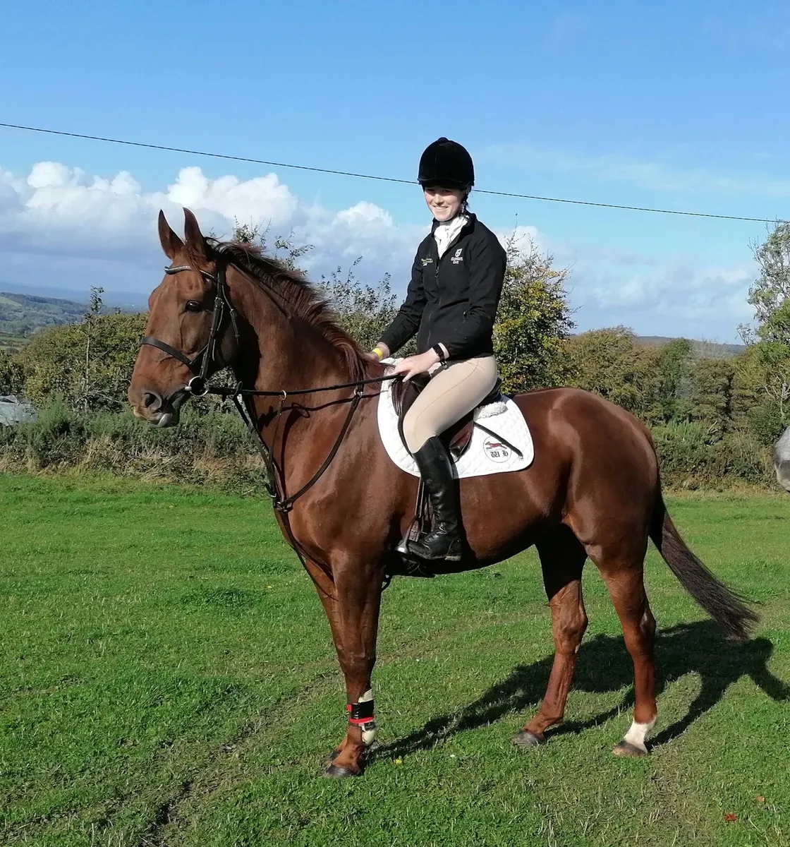 All rounder - Image 3