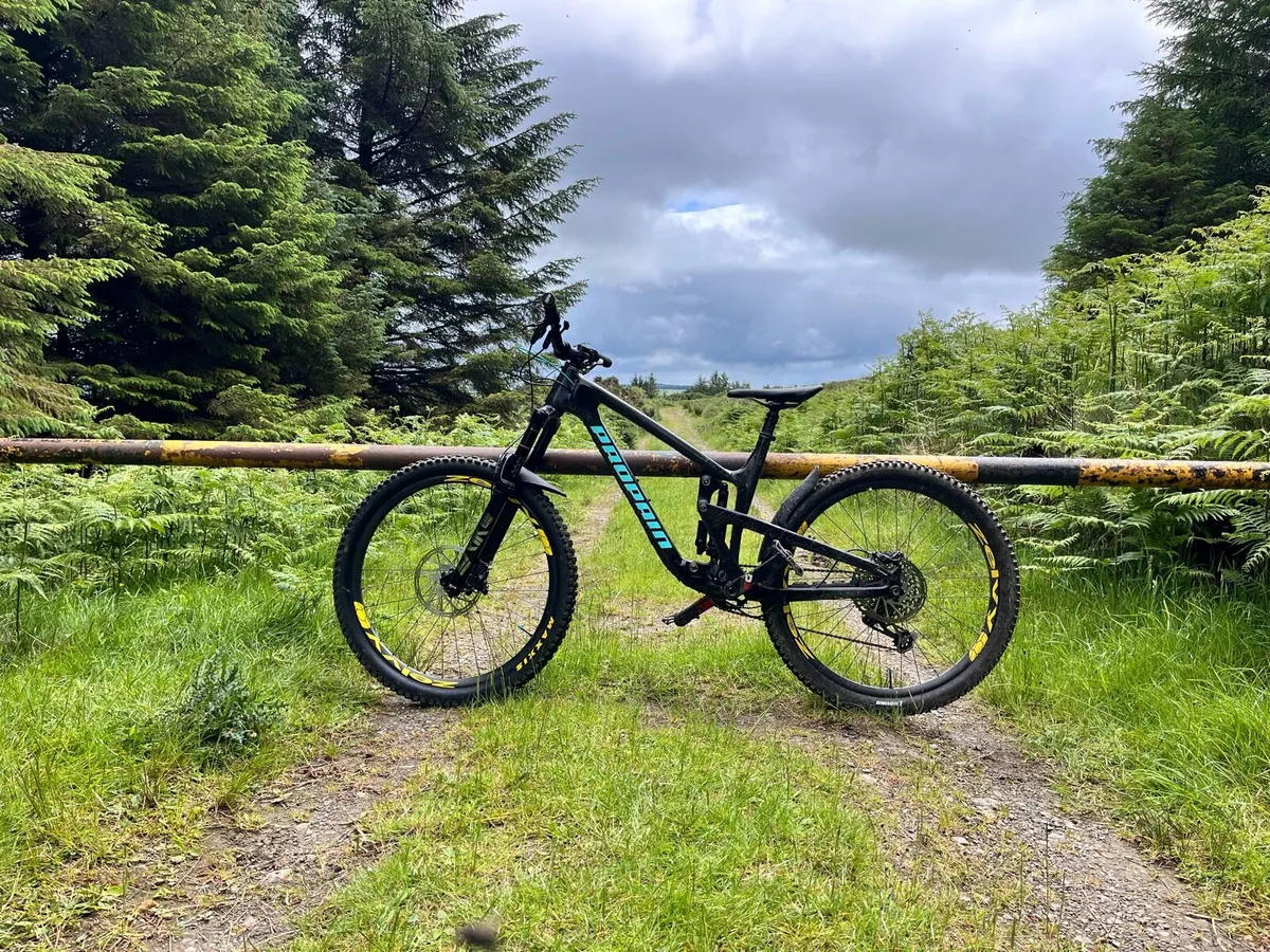 Propane Tyee Full Carbon size medium - Image 1