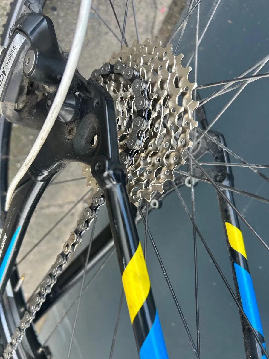 Giant Roam ❗️Open 7 days of the week ❗️ - Image 4