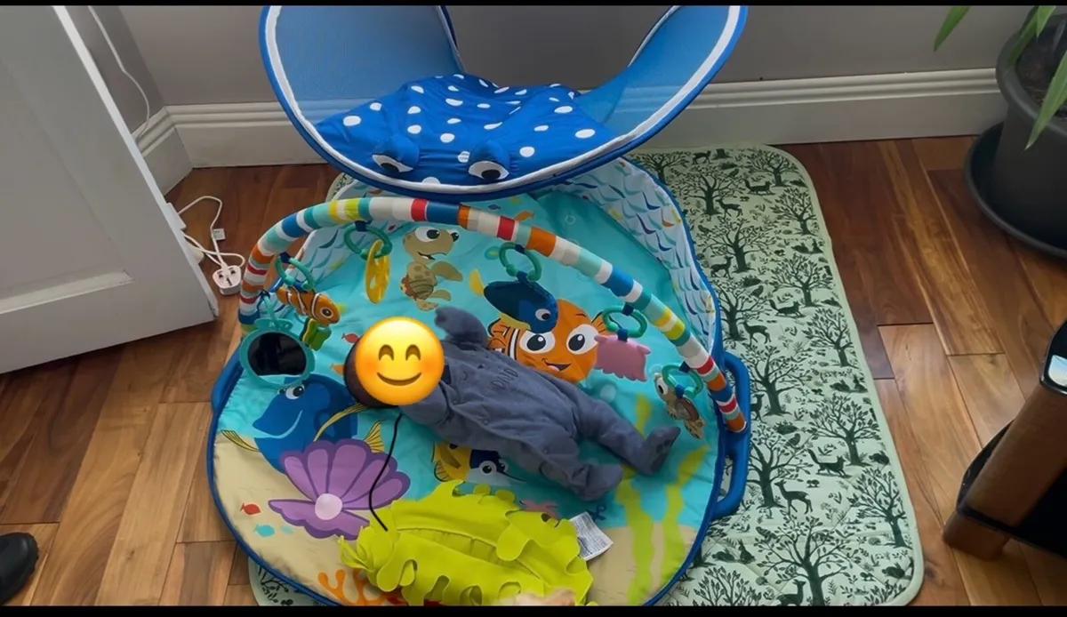 Disney Baby Finding Nemo Mr. Ray Baby Gym - Image 1