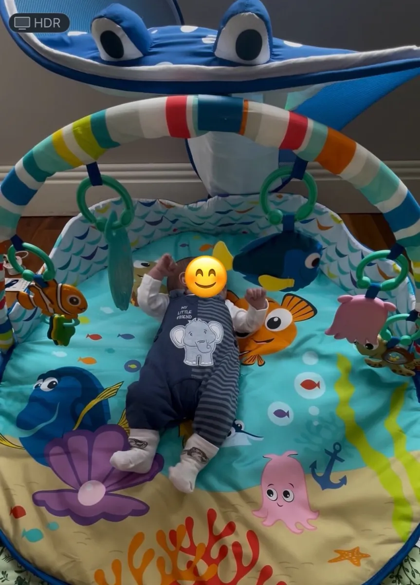 Disney Baby Finding Nemo Mr. Ray Baby Gym - Image 3