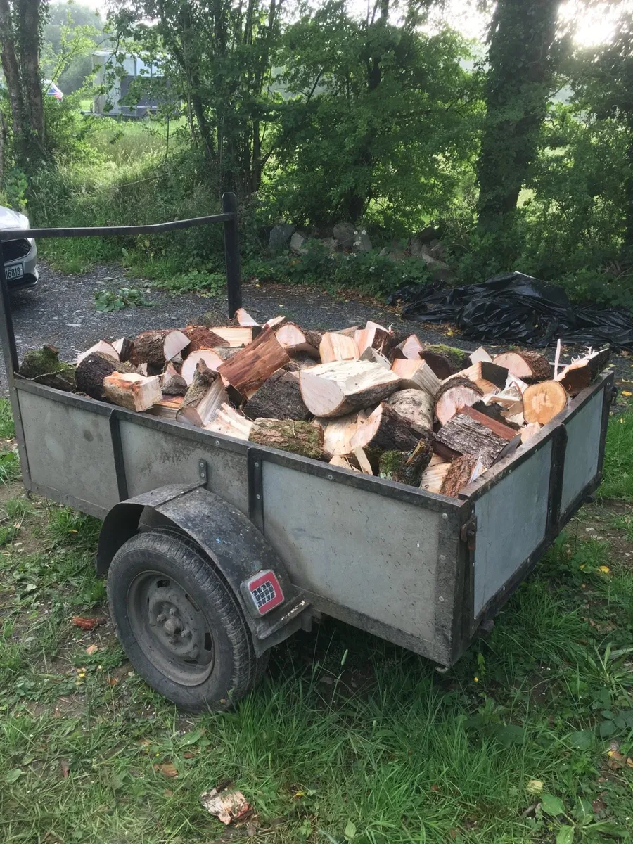 FIREWOOD - Image 1