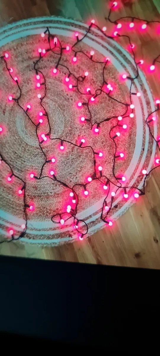 Red Holly Berry led lights - Image 3