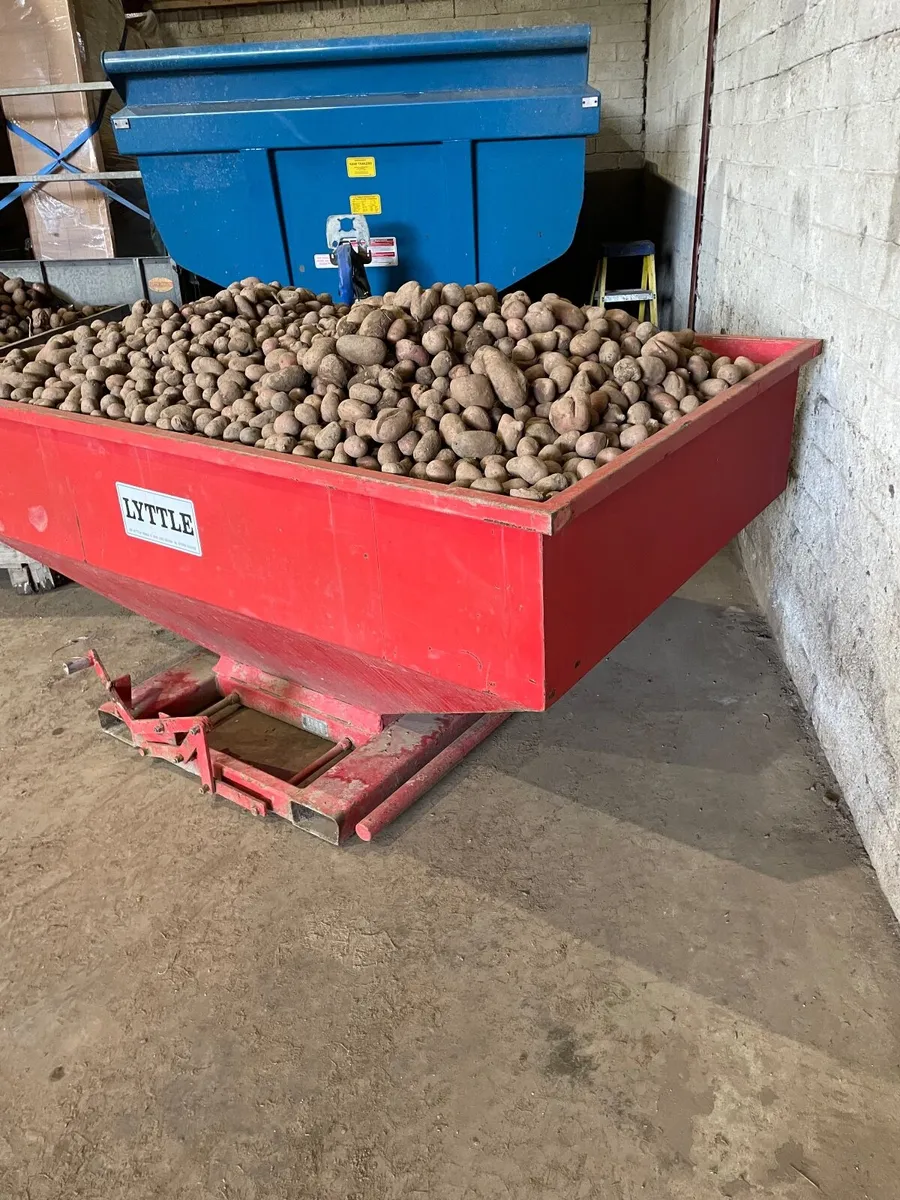 Potatoes for cattle feeding - Image 2