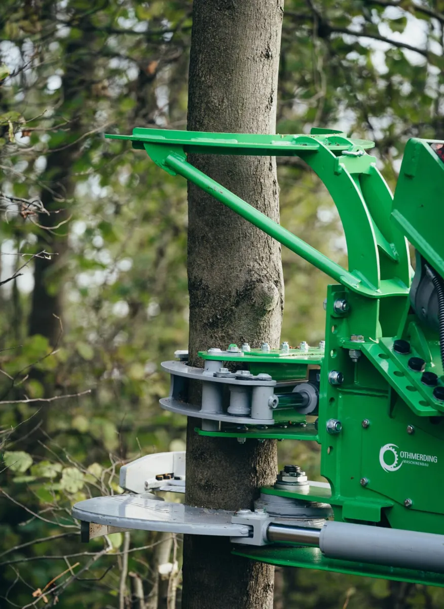 Othmerding Tree Master Cuts 14”  For Sale - Image 1